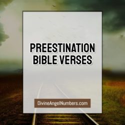 Predestinación en la biblia versículos