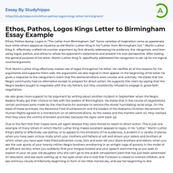 Ethos pathos logos letter from birmingham jail