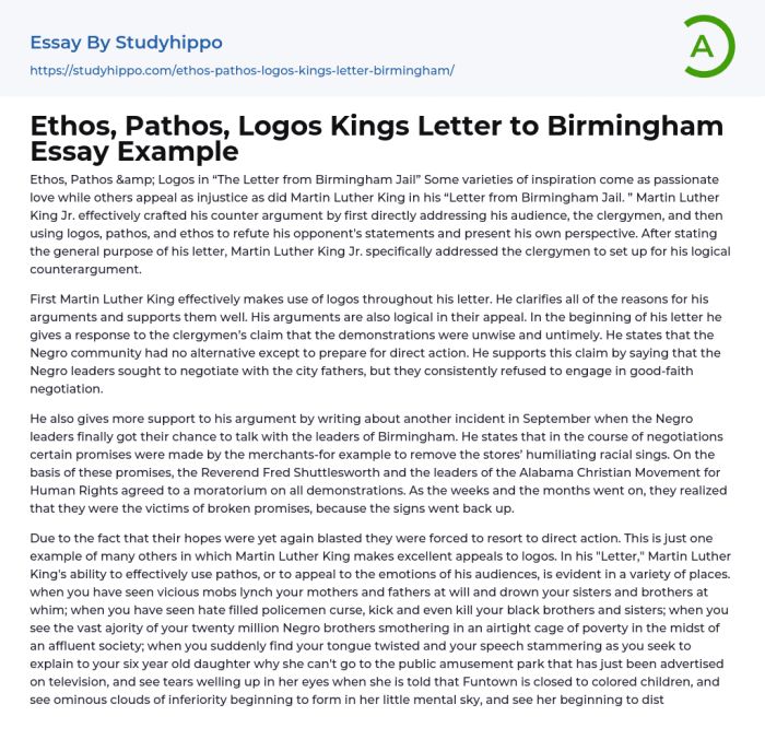 Ethos pathos logos letter from birmingham jail