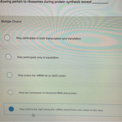 The following pertain to ribosomes during protein synthesis except