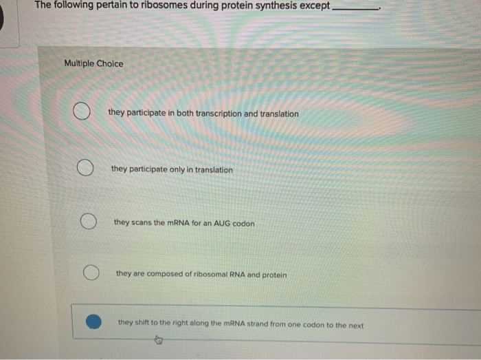 The following pertain to ribosomes during protein synthesis except