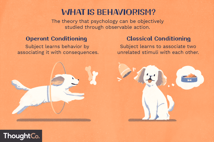 Methodological behaviorism vs radical behaviorism