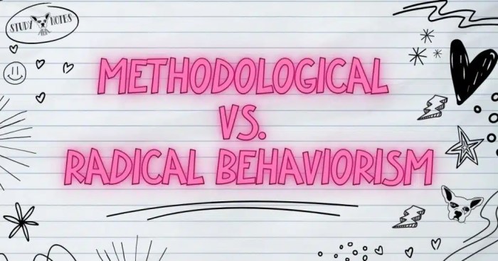 Behaviorism methodological radical